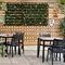 exterior beer garden