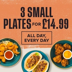 A graphic banner promoting small plates at Flaming Grill venues '3 small plates for £ all day everyday.'