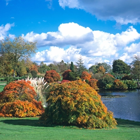 An image of Wakehurst Place advertising local attractions near to Chef & Brewer venues.