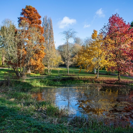 An image of Ness Botanic Gardens advertising local attractions near to Chef & Brewer venues.