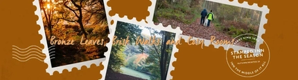 A graphic banner advertising winter walks with Greene King Inns.