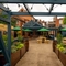 The exterior beer garden seating area at The Talbot; with wooden picnic tables, planter boxes, shade umbrellas, string lights overhead, and a large wooden pergola with under cover seating.