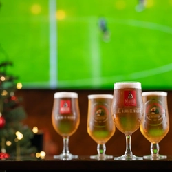 pints of beer in front of a TV