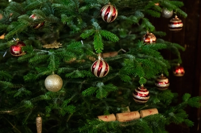 Festive Parties