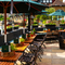 The exterior beer garden seating area which overlooks the River Thames, at The London Apprentice in Isleworth; with wooden tables and chairs, padded bench seats, shade umbrellas, and planter boxes filled with flowers on the stone wall enclosing the seating area.
