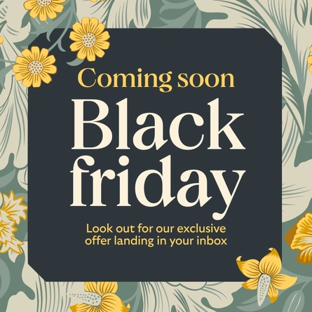 A banner which says "Coming Soon, Black Friday, Look out for our exclusive offer landing in your inbox".