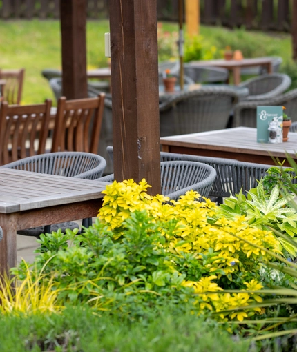 The beer garden at the Mare & Colt.