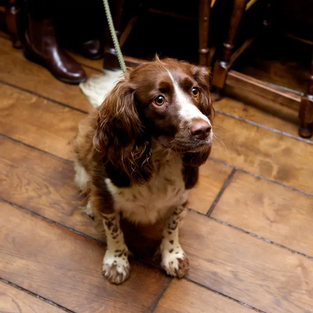 5755_P&V_MPCo_The-Boaters-Inn_Kingston-Upon-Thames_Lifestyle_2023_1