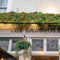 A photograph of The Ladbroke Arms