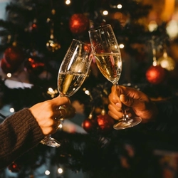 A close up view of two hands clinking together glasses of sparkling wine, in front of a decorated and lit Christmas tree inside a pub.