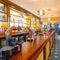 A close up view of the bar inside the Counting House in Dumbarton, with potted plants and bottles of alcoholic spirits on glass shelves behind the counter.