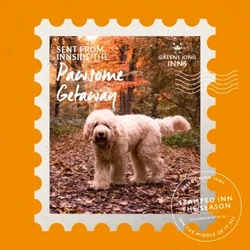 A Greene King Inns Mobile banner advertising Dog Friendly Stays.