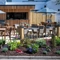 The beer garden at the Wheatsheaf.