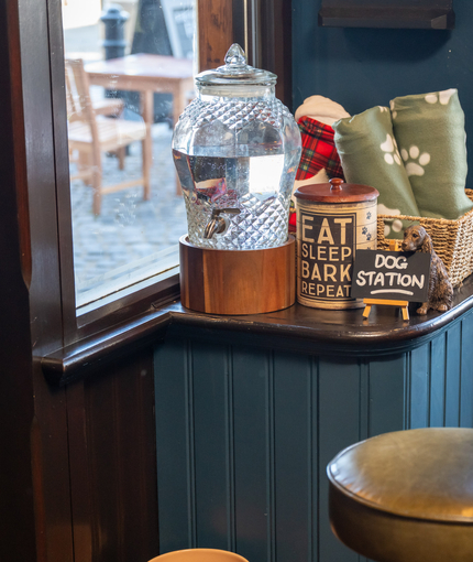 An interior image focusing on a Dog Station with dog treats, blankets and water dispenser at The Spice Island.