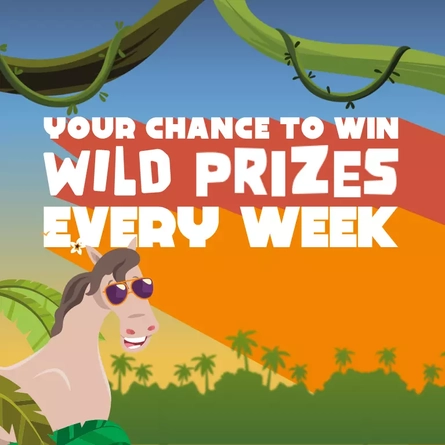 DB_HH_Banner_Your-Chance-To-Win-Wild_Mobile_2024.png