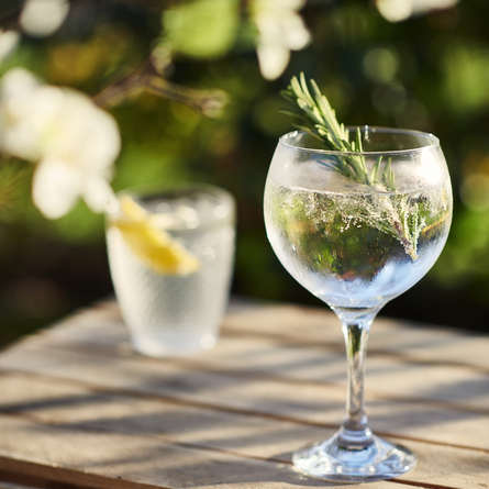 DB_C&B_Product_Advertising_Rosemary-G&T_2024.jpg