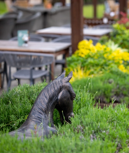 The beer garden at the Mare & Colt.