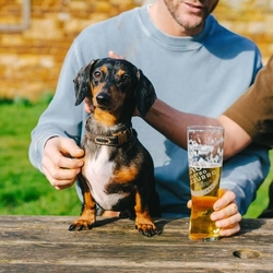 A lifestyle image of customers enjoying drinks within the beer garden with their dog at a Greene King Pub.