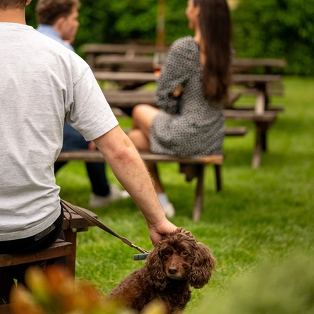 GK_People_Lifestyle_Dog-Friendly-Summer-Drinks_2024_010.jpg
