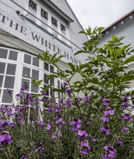 Exterior facade of venue