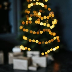 Christmas_5308_P&V_EV_White-Horses_Rottingdean_Venue_Xmas-Tree-Presents_2024.jpg