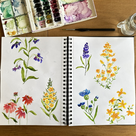 An image of paints and watercolour flowers to advertise a Wildflower Watercolour Workshop event at The Cart & Horses.