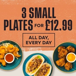 A graphic banner promoting small plates at Flaming Grill venues '3 small plates for £ all day everyday.'