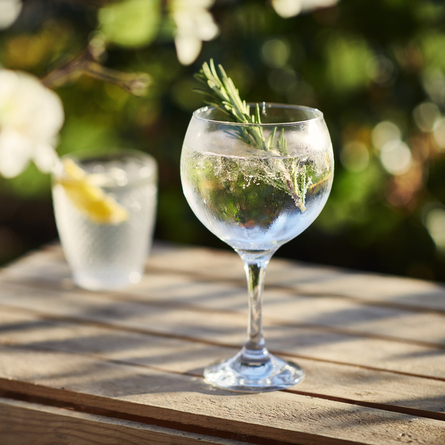 DB_C&B_Product_Advertising_Rosemary-G&T_2024.jpg