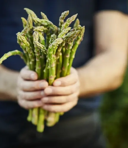 DB_C&B_Product_Advertising_Asparagus-Ingredients_2024.jpg