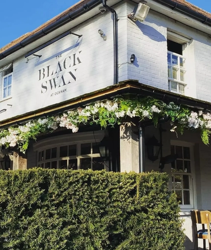 Metro - Black Swan (Ockham) - Pub Exterior