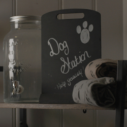 Dog station within the venue