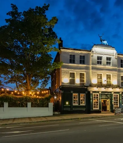 Metro - Bald Face Stag (East Finchley) - Exterior with Garden