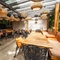 The exterior covered beer garden seating area with tables, chairs, cushioned seating and hanging lighting at The Duke Of Sussex.