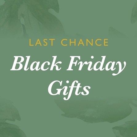 cb_black_friday_mobile_HP_lastchance.png