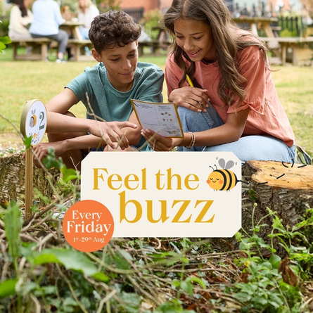 A 768x768 size web homepage promo banner advertising Bumble Events at Chef & Brewer venues this Summer.