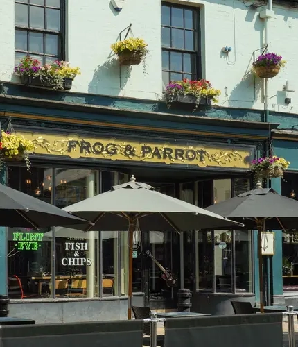 The exterior of The Frog and Parrot