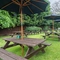 Metro - Red Lion (Grantchester) - The beer garden of The Red Lion