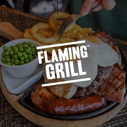 Flaming Grill (FG): Brand Level - Homepage - 500x500