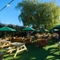 The exterior beer garden seating area at The Talbot Inn in Mansfield, with wooden picnic tables and shade umbrellas.