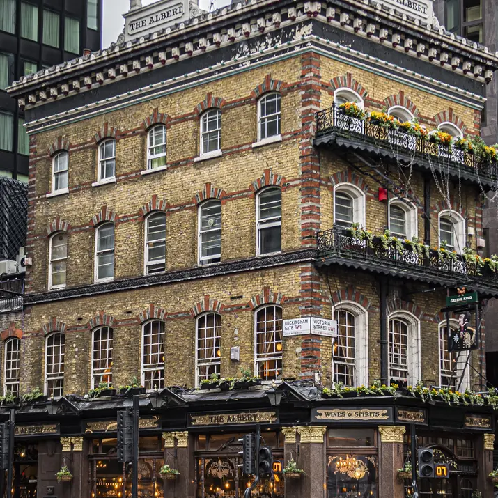 The Albert