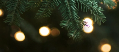 Christmas_5308_P&V_EV_White-Horses_Rottingdean_Venue_Xmas-Tree_2024.jpg