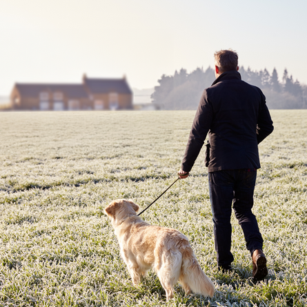A man walking a dog in a field in winter.