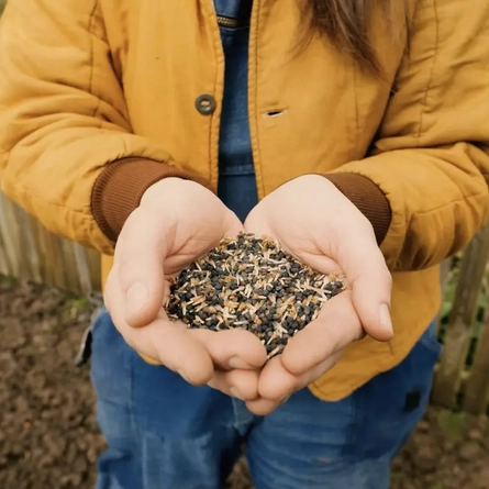 Some hands holding seeds.