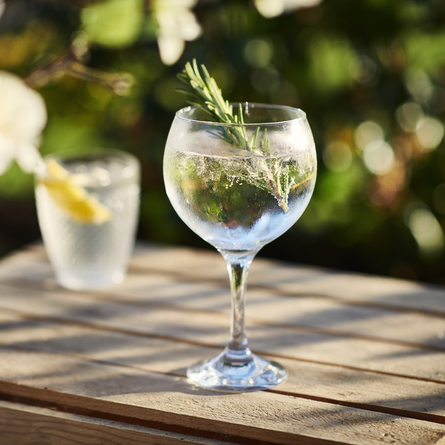 DB_C&B_Product_Advertising_Rosemary-G&T_2024.jpg