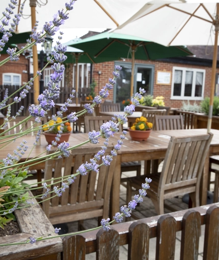 Exterior Beer Garden