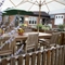 Exterior Beer Garden