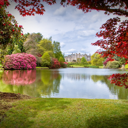 An image of Sheffield Park and Gardens advertising local attractions near to Chef & Brewer venues.
