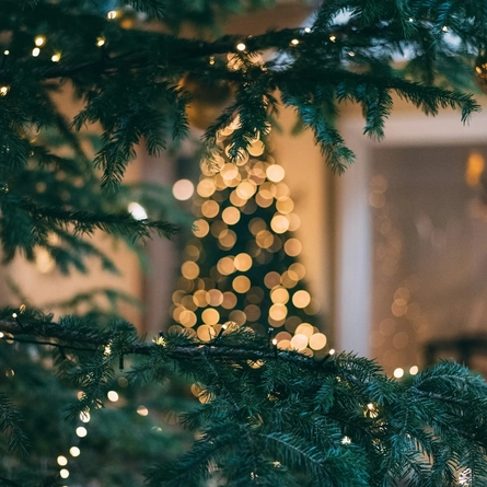 Tree lights wrapped around Christmas tree