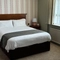 An image showing the interior of one of the hotel rooms featuring a double bed, bedside cabinets either side with lamps and single bed at The Antelope.