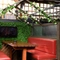 Beer garden outside of a pub